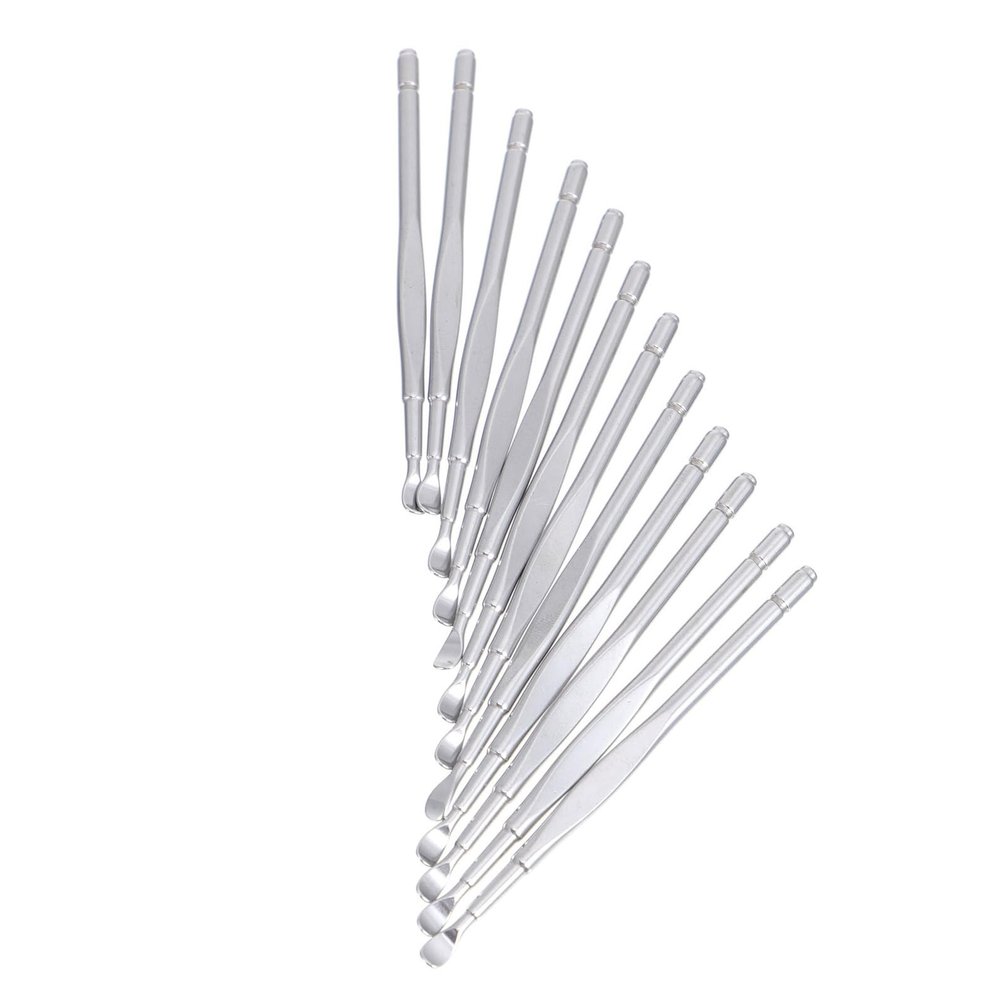 12-Piece Stainless Steel Ear Cleaning Tool Set, Silver, for Families