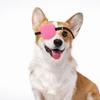 Artibetter Dog Eye Patch view 4