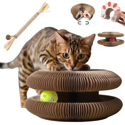 Magic Organ Cat Scratching Board - 3-in-1 Foldable Toy
