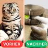 Magic Organ Cat Scratching Board - 3-in-1 Foldable Toy view 3