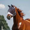 Breathable Comfort Gear for Horses view 2