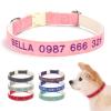 Customizable Leather Dog Collar with Embroidery view 1
