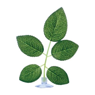 Generic Aquarium Plants - Leaf Pad with Suction Cup