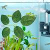 Generic Aquarium Plants - Leaf Pad with Suction Cup view 3
