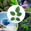 Generic Aquarium Plants - Leaf Pad with Suction Cup view 4
