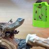 Gecko Feeding Bowl - Terrarium Feeding Dish with Suction Cup view 2