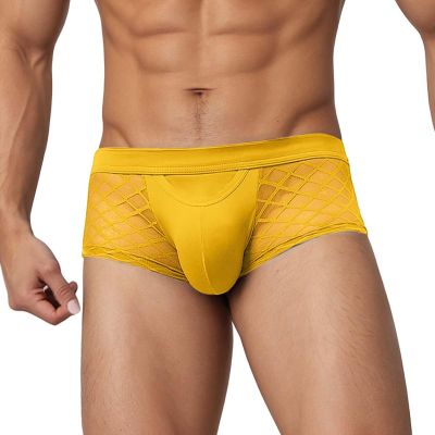 Men's Lace Briefs, Mid-Rise Stretch Underwear