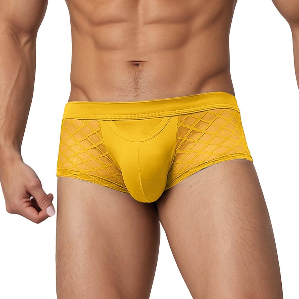 Men's Lace Briefs, Mid-Rise Stretch Underwear