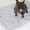 Warm and Cozy Pet Blanket for Dogs and Cats view 2