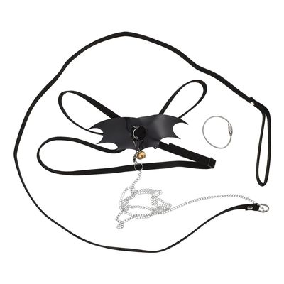 Adjustable Reptile Leash Set with Lizard Harness