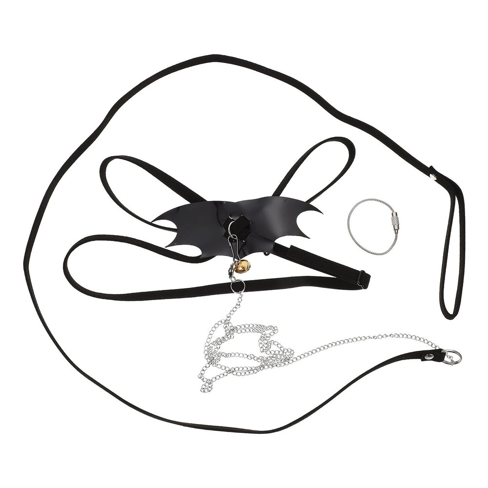 Adjustable Reptile Leash Set with Lizard Harness