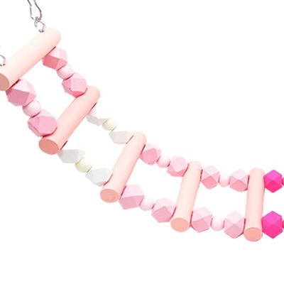 Haofy Bird Ladder Bridge, Wooden Swing for Macaws and Cockatiels, Improves Balance, Easy Installation, for Parakeets and Lovebirds (Pink, 23.6 in)