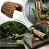 Resin Cave for Tortoise Habitats view 4
