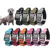 Alpha Dog Collar with Handle - Thick Adjustable Tactical Collar for Medium to Large Dogs view 2