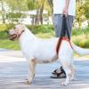 Dog Hind Leg Support, Soft Handle, Breathable, Portable, S/M/L view 2