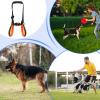 Dog Hind Leg Support, Soft Handle, Breathable, Portable, S/M/L view 3
