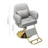 Salon Styling Chair with Hydraulic Pump and 360° Swivel view 2