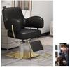 Salon Styling Chair with Hydraulic Pump and 360° Swivel view 4