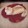 Generic Pet Mat 69 x 64 cm Waterproof Cushion Pad view 3