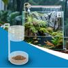 Aquarium Feeder with Floating and Sinking Design view 3