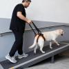 Dog Hind Leg Support, Adjustable Soft-Handle Lifting Aid view 2