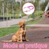 fKiZanthene Dog Collar and Leash Set, Pink with Paw Prints view 4