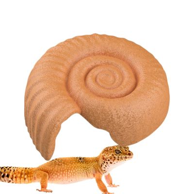 Laxreheye Ammonite Shaped Reptile Hide