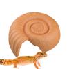 Laxreheye Ammonite Shaped Reptile Hide view 1