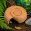 Laxreheye Ammonite Shaped Reptile Hide view 2