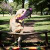 Adjustable Breathable Dog Muzzle for Panting and Drinking view 2