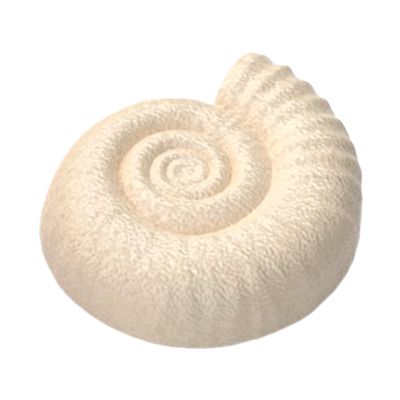 Ammonite Shaped Reptile Hideout