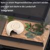 Ammonite Shaped Reptile Hideout view 3