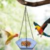 Wild Bird Feeders | Bird Bath Bowl for Garden view 2