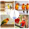Wild Bird Feeders | Bird Bath Bowl for Garden view 4