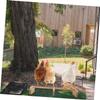 Polished Wooden Perch for Parrots and Macaws view 4