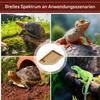 Generic Reptile Water Bowl view 4