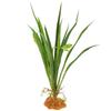 Abaodam Artificial Reptile Plant view 1