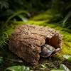 Genrico Reptile Hide and Resin Shelter view 3