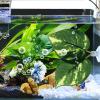 Betta Fish Bed - Leaf Aquarium Decor view 3