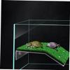 SHINEOFI Grass-Style Turtle Platform with Suction Cups, 2 Pieces, Green view 2