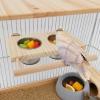 Bird Perch with Stainless Steel Bowls view 2