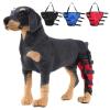 Pet Knee Protector, Dog Bandage for Left or Right Leg and Ankle, Blue Left, M view 2