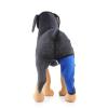 Pet Knee Protector, Dog Bandage for Left or Right Leg and Ankle, Blue Left, M view 3