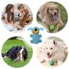 Durable Dog Chew Toy view 4