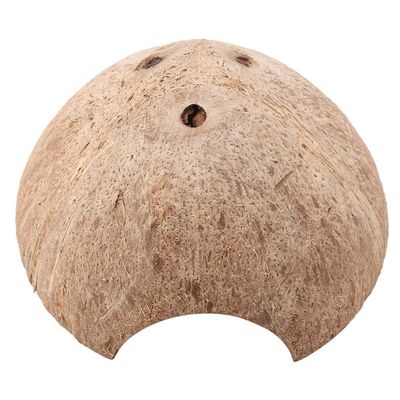 HETHLIF Coconut Shell Hideout for Spiders and Hermit Crabs