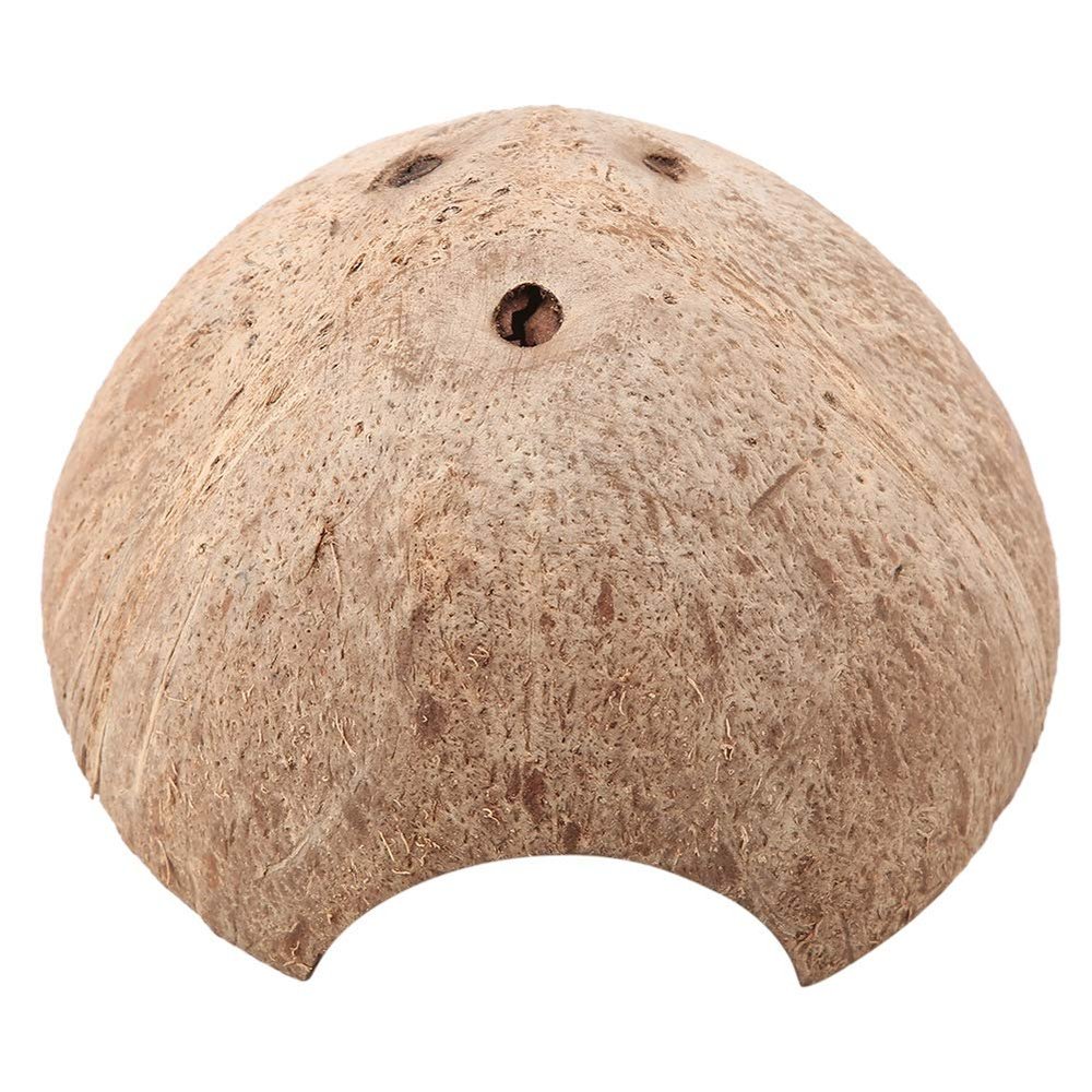 HETHLIF Coconut Shell Hideout for Spiders and Hermit Crabs