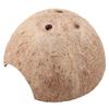 HETHLIF Coconut Shell Hideout for Spiders and Hermit Crabs view 4