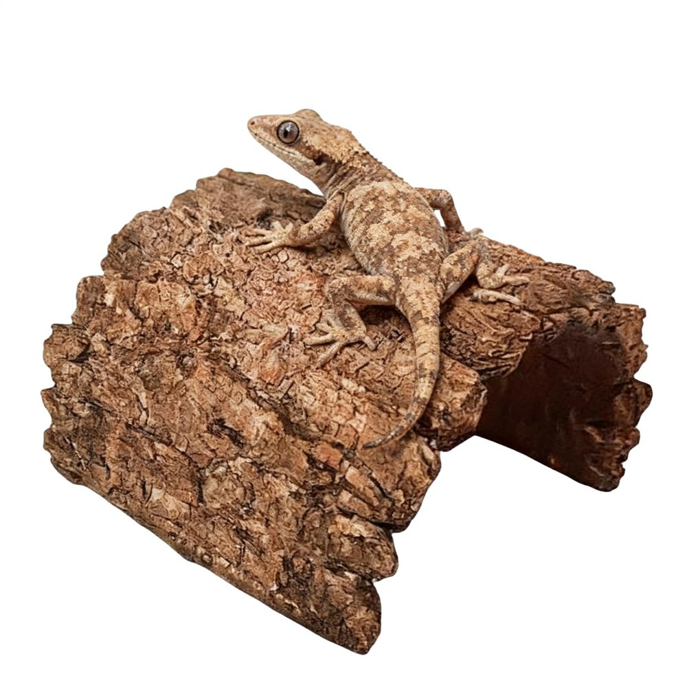 Toad Hideout Resin Shelter Cave