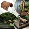 Toad Hideout Resin Shelter Cave view 4
