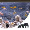 Zambuph Turtle & Eel Platform view 4